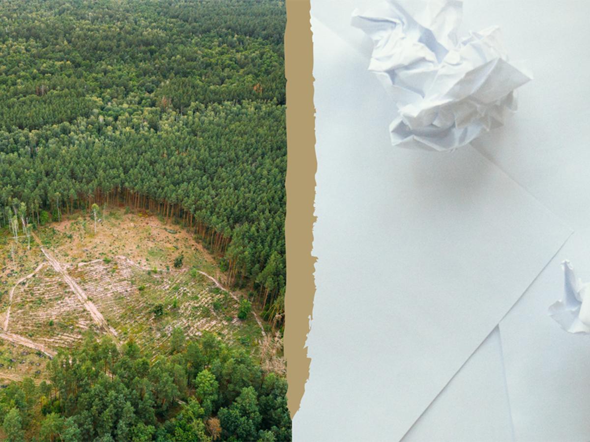 ESG use case: new collaboration and financial analysis tool