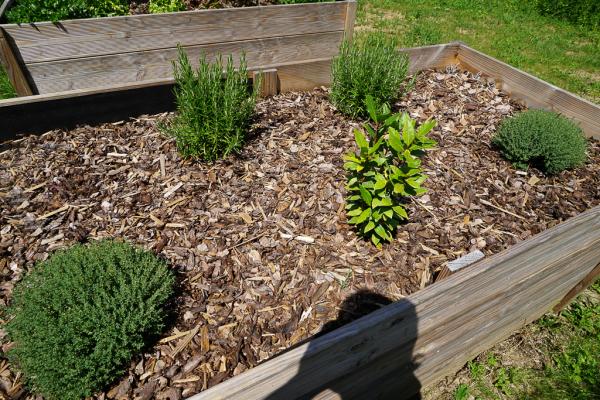 Résidence Les Lauriers - 10